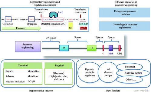 傳統行業與人工智能融合 材料、化學、物理、生物的發展與未來展望