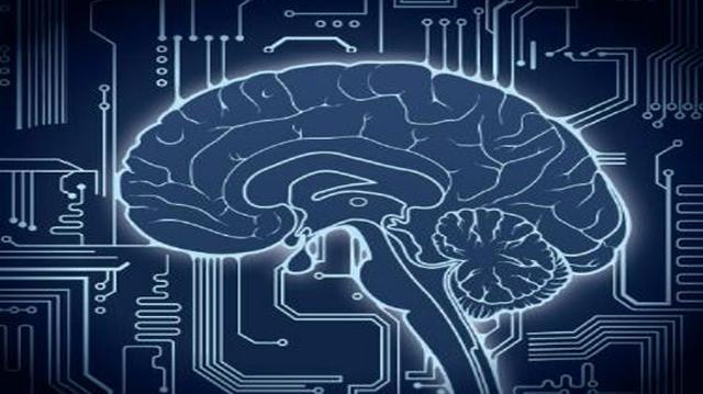 網(wǎng)紅送餐機(jī)器人 智能表象下的“無(wú)人”困境與自動(dòng)駕駛的深層挑戰(zhàn)